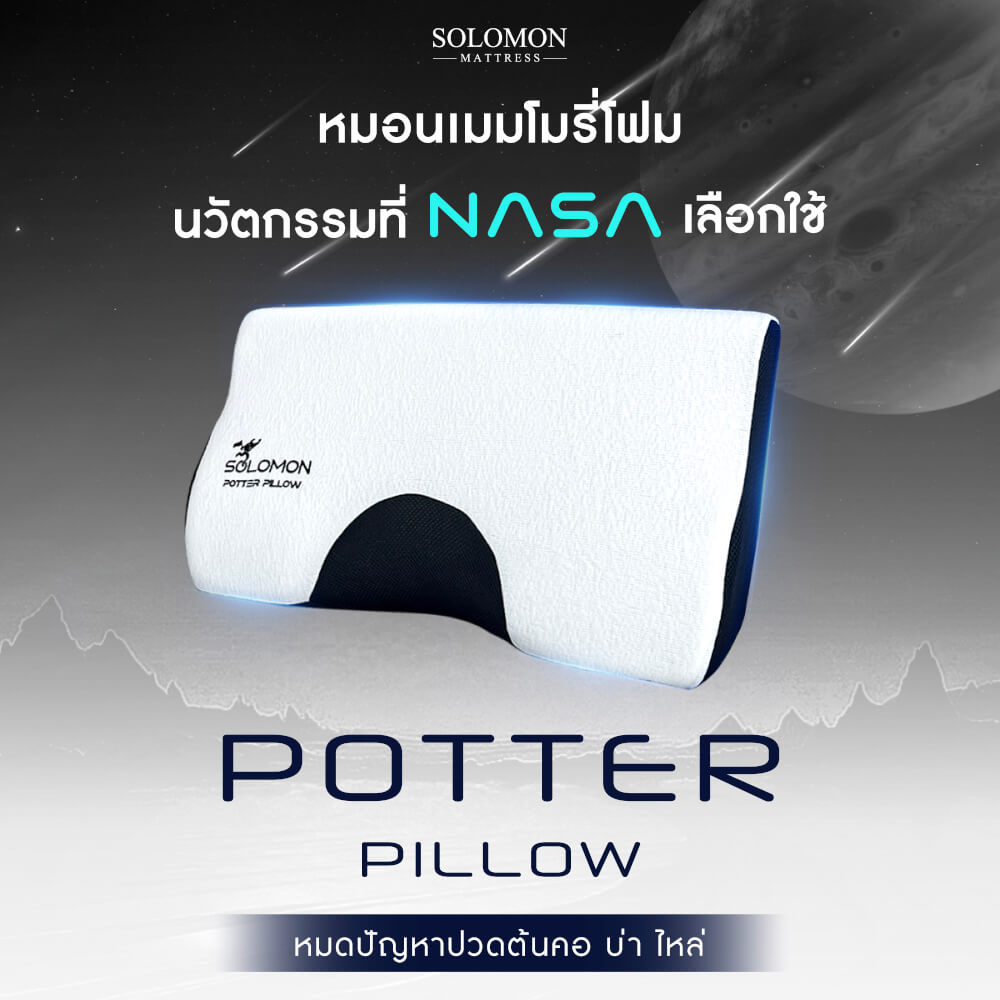 หมอนเมมโมรี่โฟม SOLOMON รุ่น POTTER PILLOW